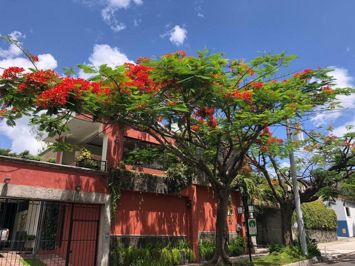 Hotel Arbol De Fuego San Salvador Exterior foto